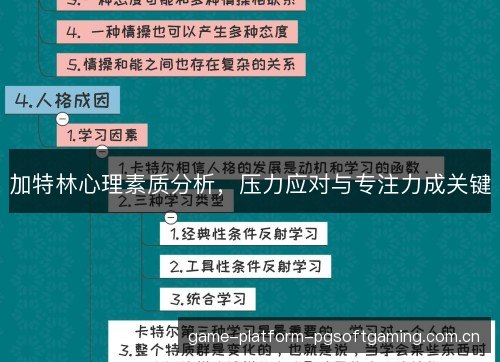 加特林心理素质分析,压力应对与专注力成关键 加特林心理素质分析,压力应对与专注力成关键